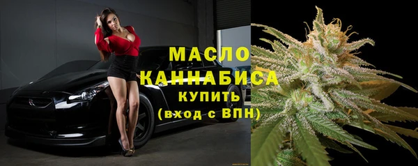 спиды Пересвет