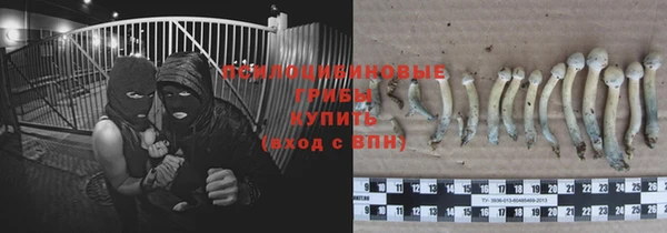 прущая мука Пестово