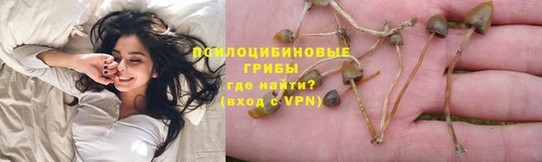 спиды Покров