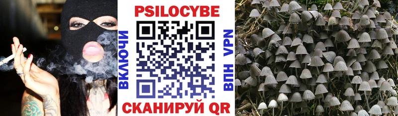 где можно купить   ОМГ ОМГ ТОР  Галлюциногенные грибы MAGIC MUSHROOMS  Спас-Клепики 