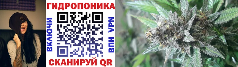 купить наркотик  МЕГА ссылка  Канабис VHQ  маркетплейс наркотические препараты  Спас-Клепики 